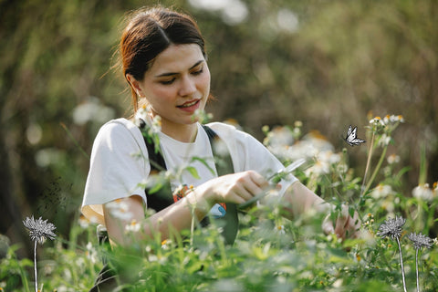 Cueilleur de plantes sauvages, un métier de passion - Saeve Paris