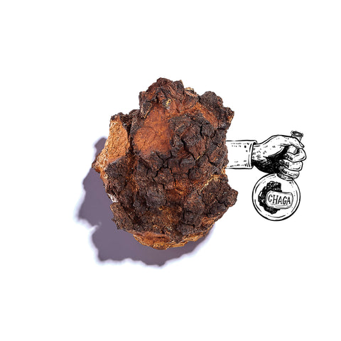 Chaga bio