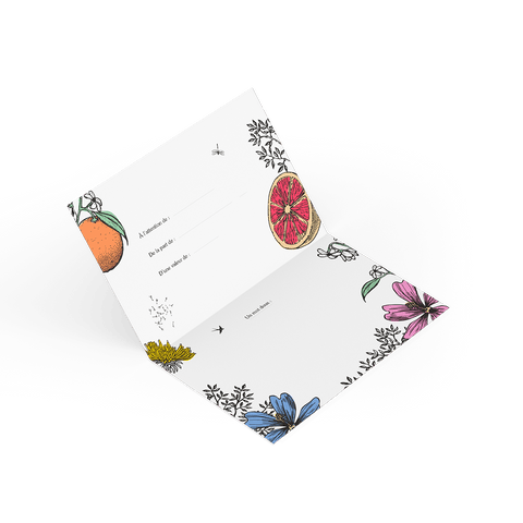 Carte cadeau Saeve - Saeve Paris