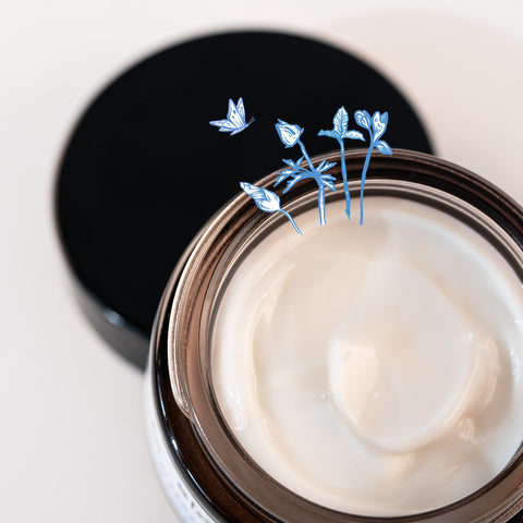 Crème Riche Désaltérante – 50 ml - Saeve Paris
