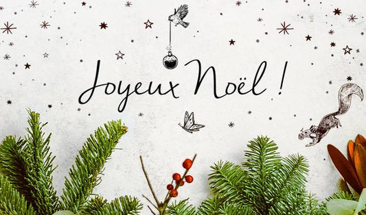 5 conseils pour être belle à Noël - Saeve Paris